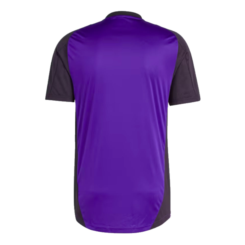 2024-2025 Germany Training Jersey (Purple)_1