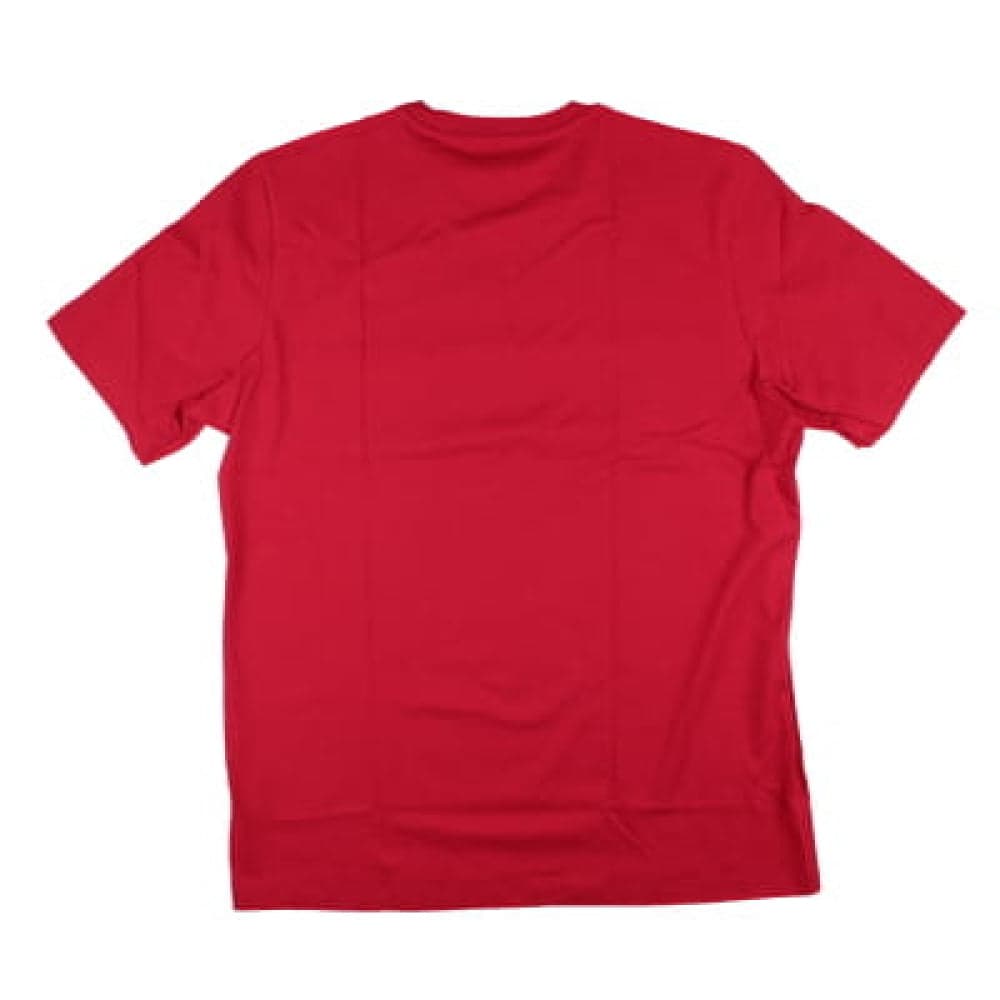 2024-2025 Man Utd DNA Graphic Tee (Red) styled preview